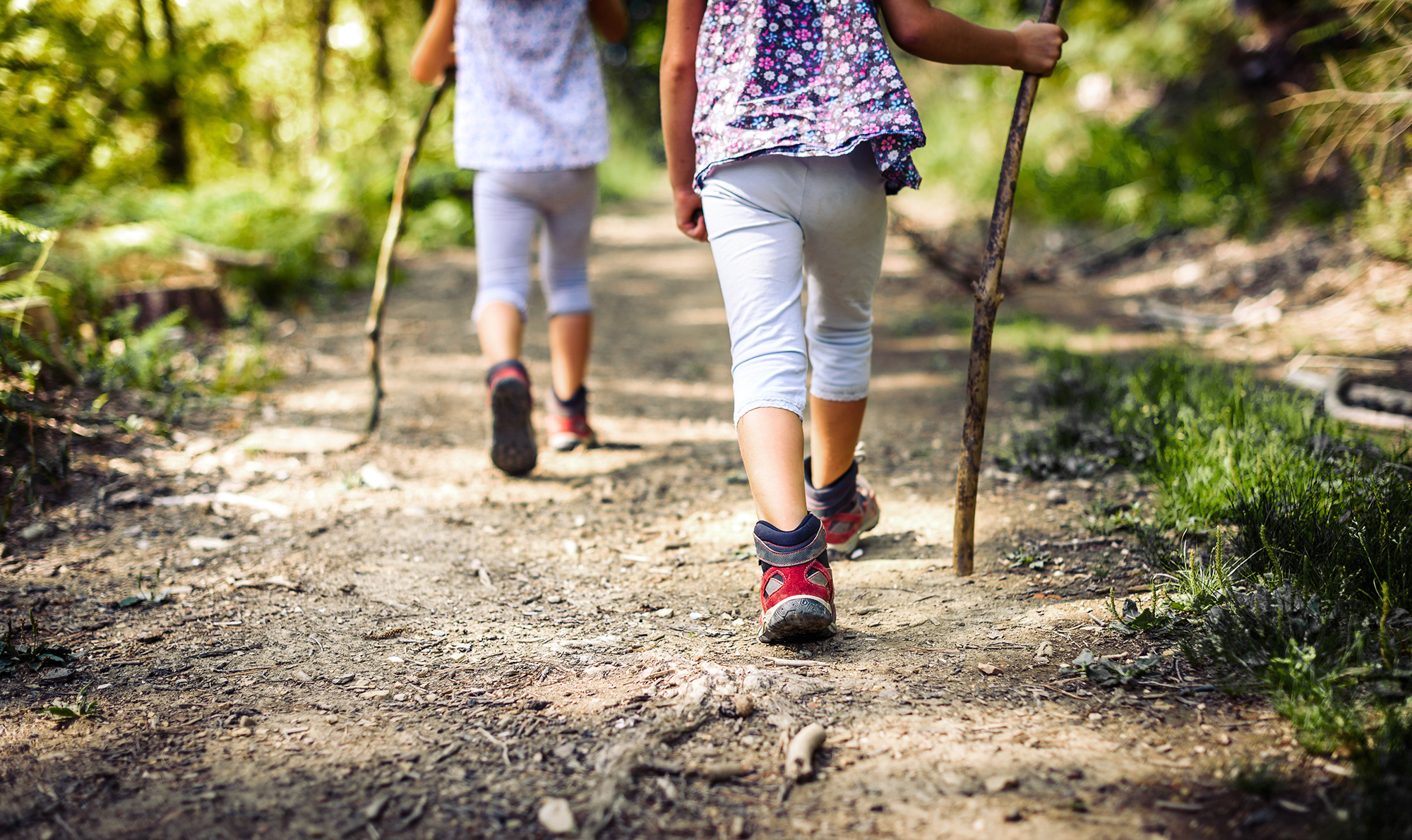 Children hiking in forest with sport hiking shoes.